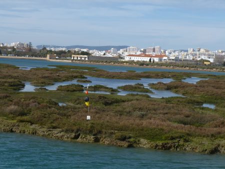 10, Delta Ria Formosa