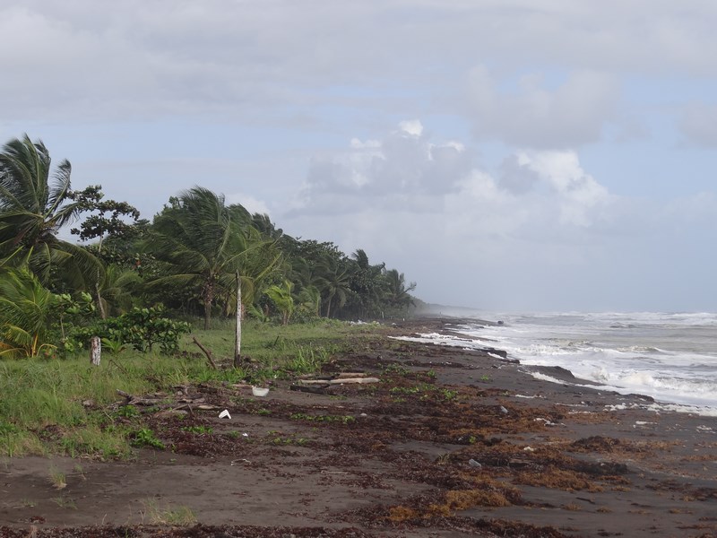 Plaja Neagra La Caraibe