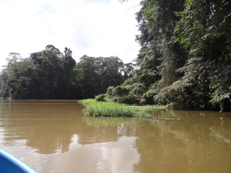 Delta Tortuguero