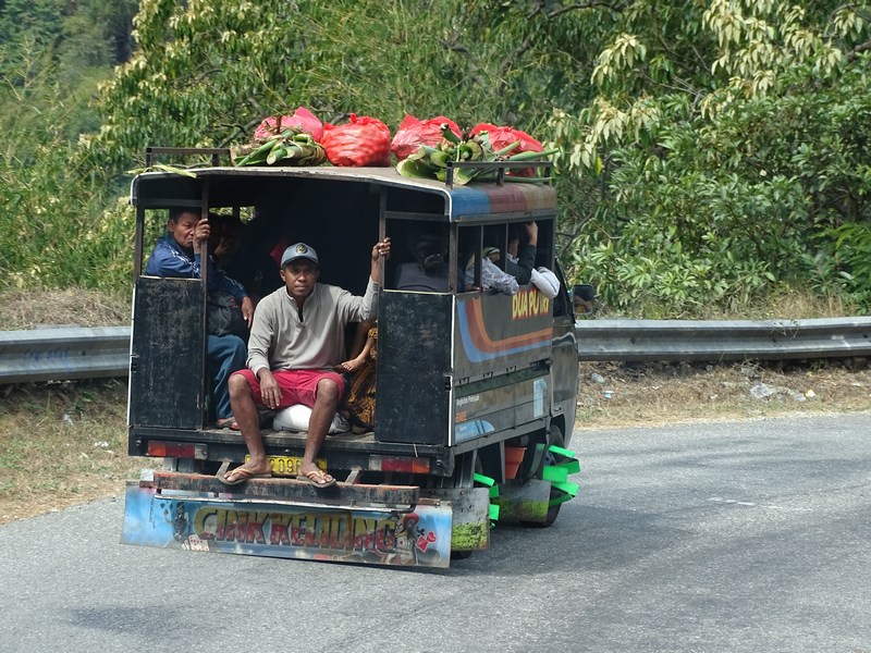 Transport In Comun Flores