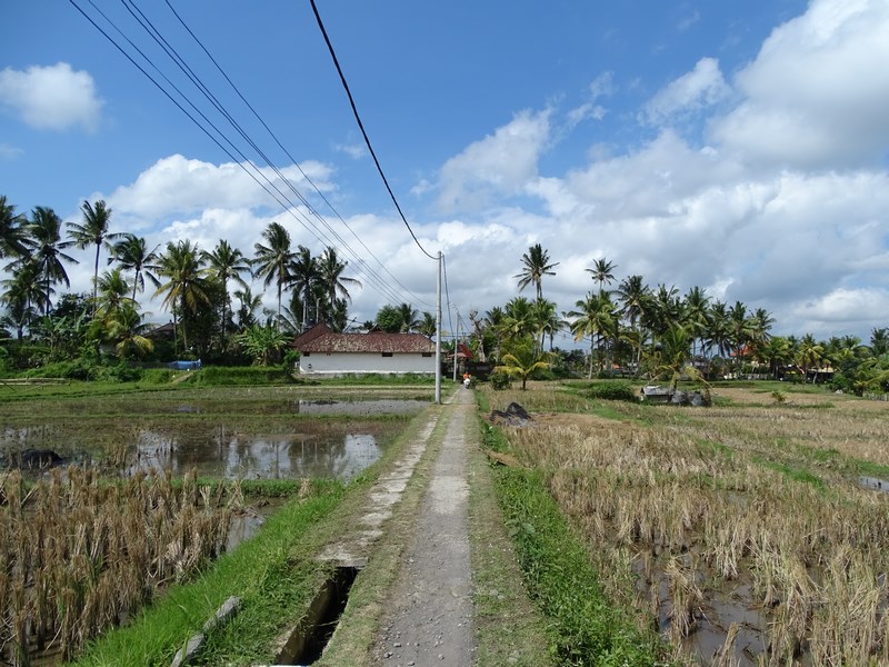 Stradute Ubud