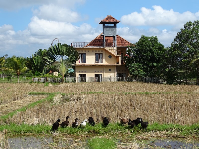 Casa Ubud