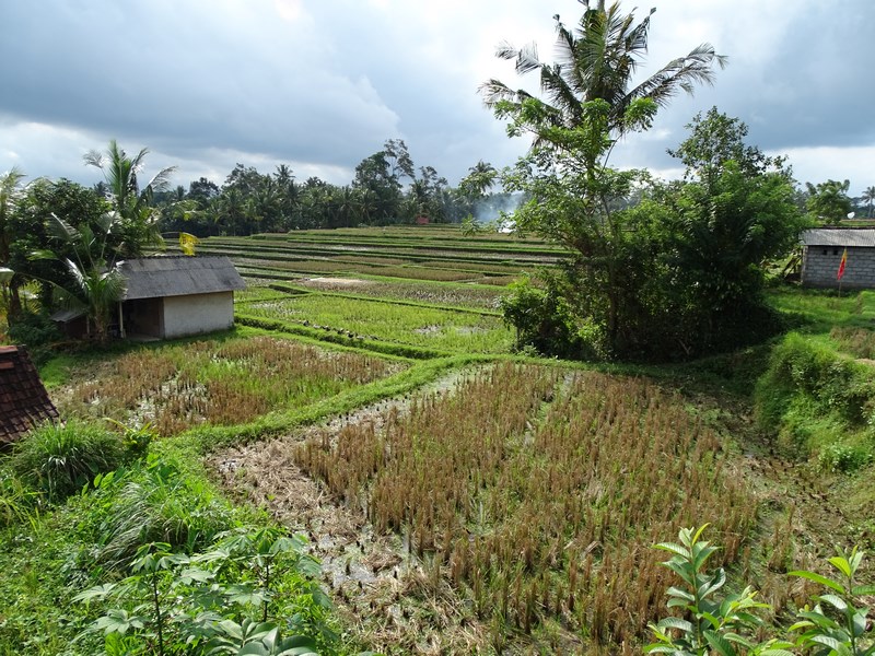 Panorama Ubud