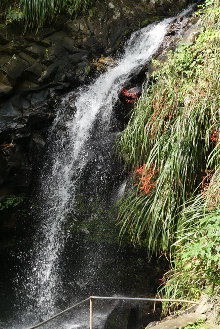 Cascada Annandale Grenada