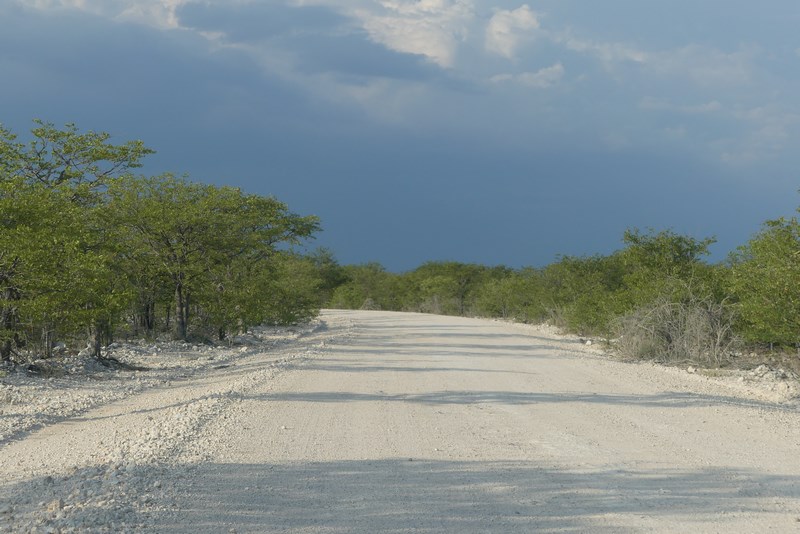 Etosha road