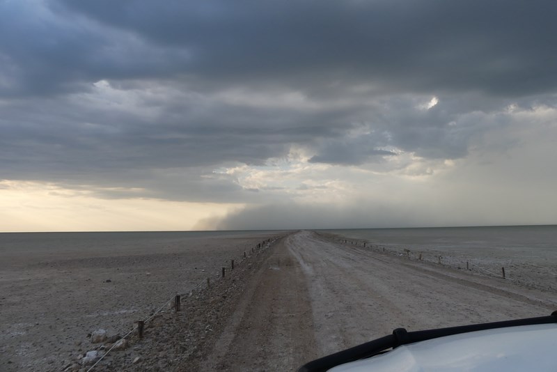 Furtuna in Etosha