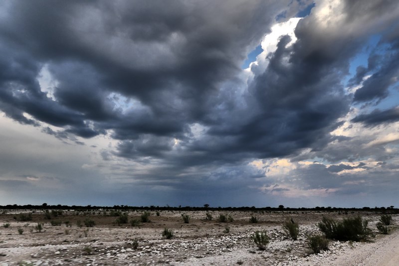 Etosha