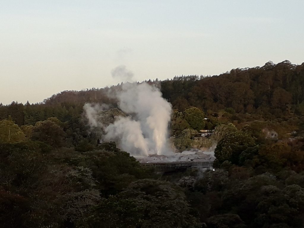 Geyser Rotorua