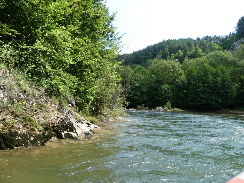 Rafting Crisu Repede Bihor