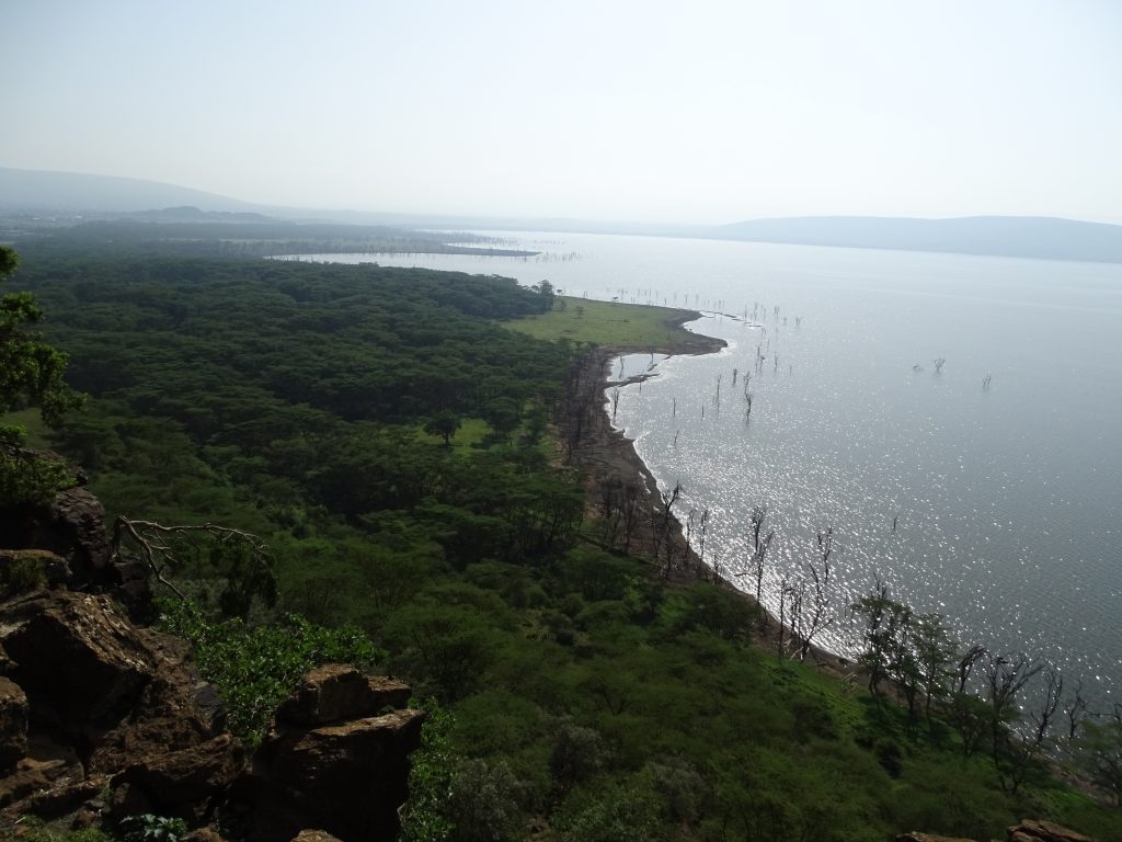 Lacul Nakuru Kenya