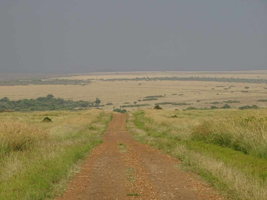 Sosele Masai Mara