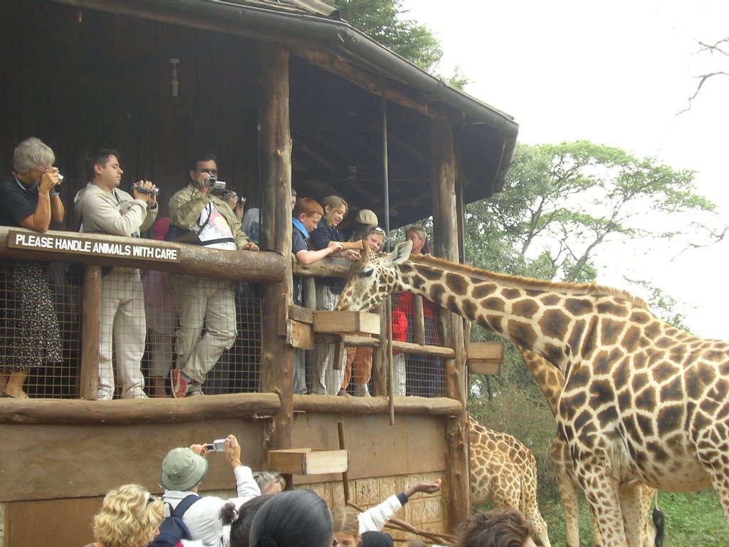 Giraffe Center