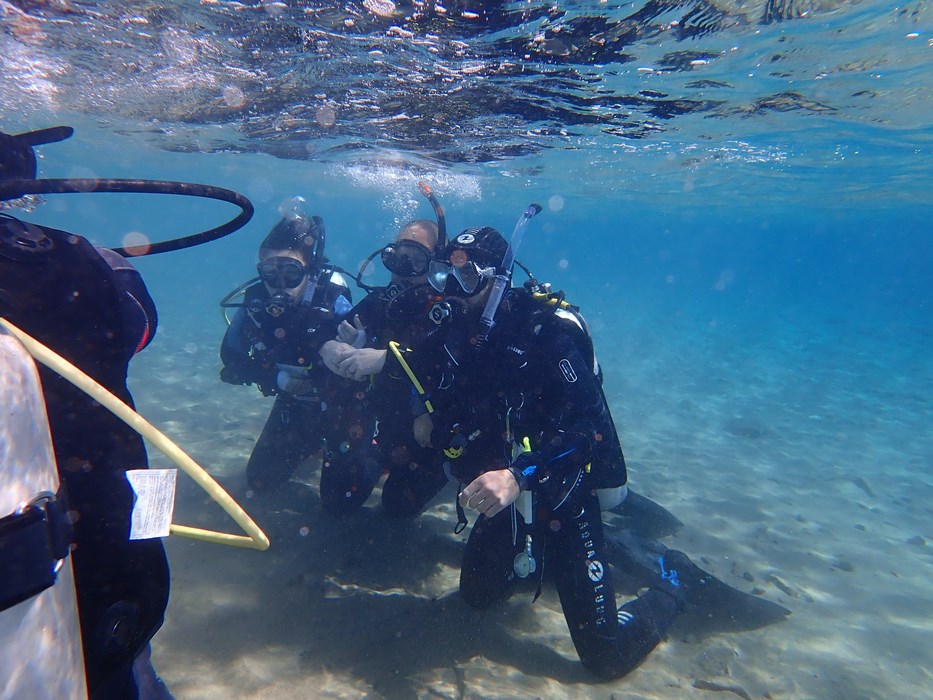 Diving in Grecia