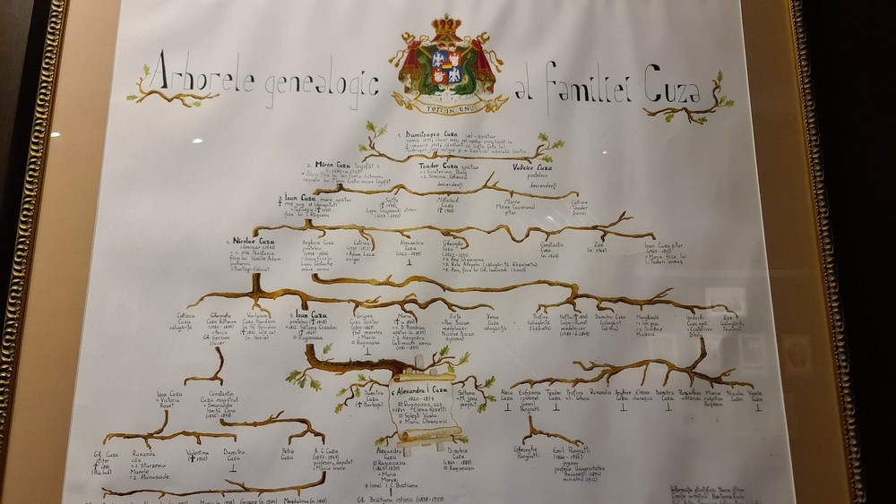Arbore genealogic familia Cuza