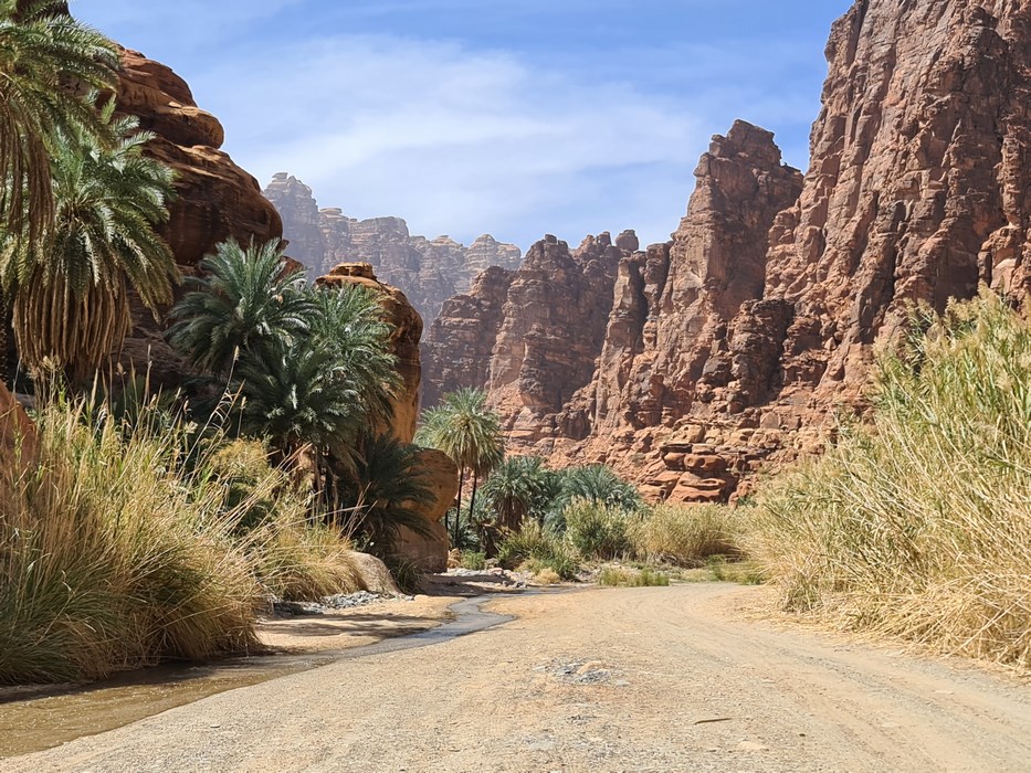 Wadi al Dissa