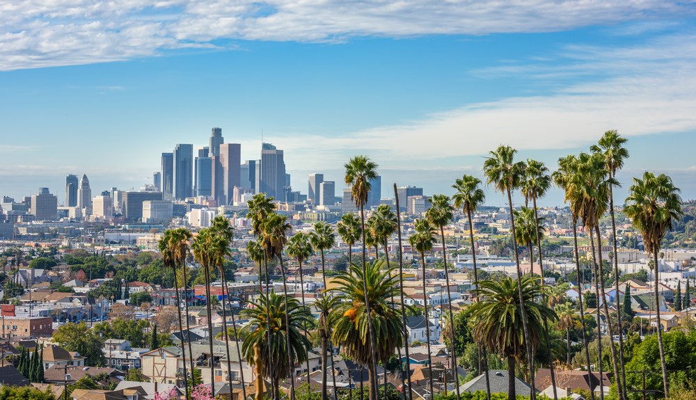 Cloudy,Day,Of,Los,Angeles,Downtown,Skyline,And,Palm,Trees