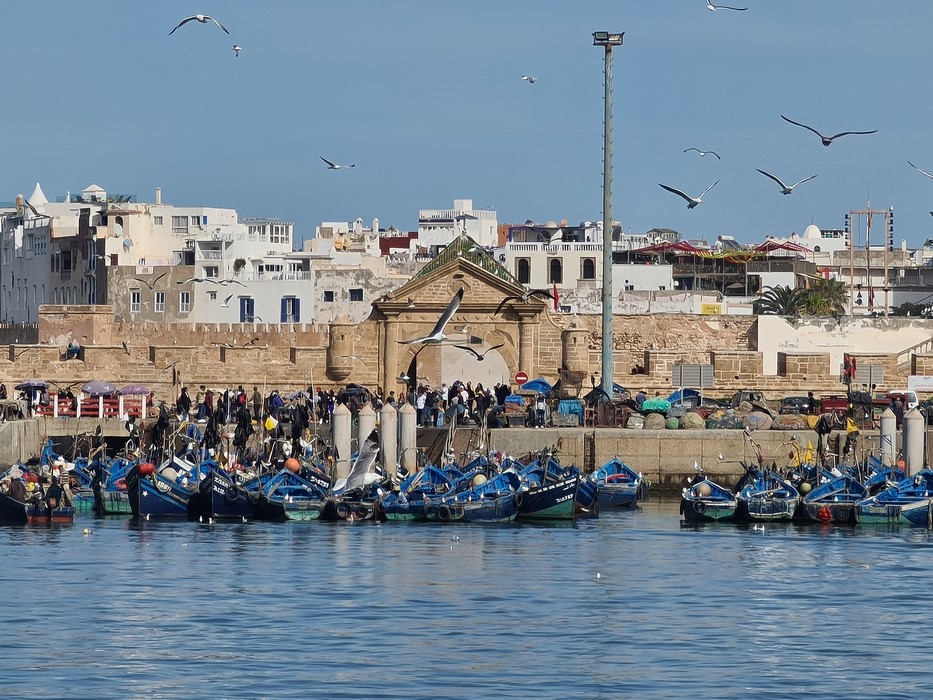 Essaouira Maroc