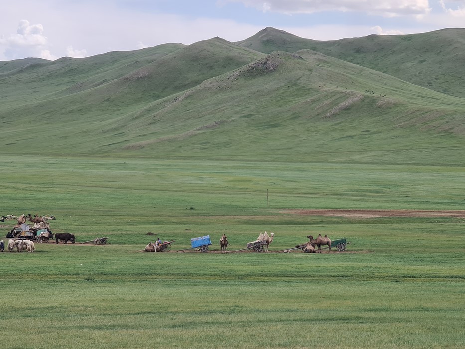 Mongolia landscape