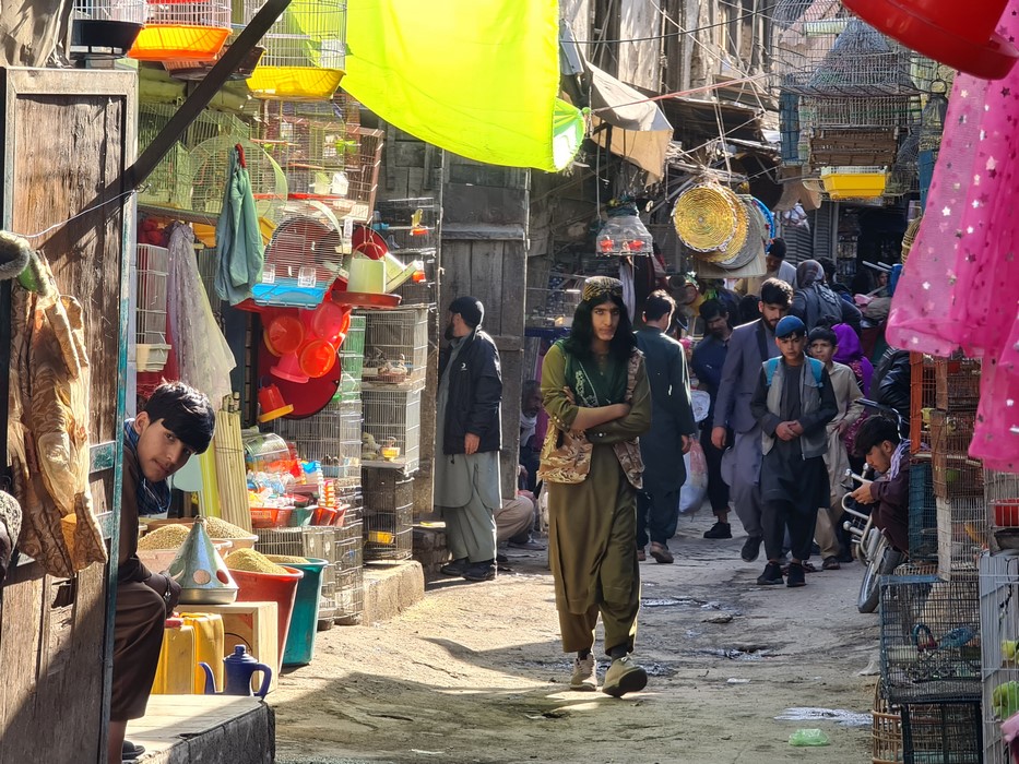 Birds market Kabul