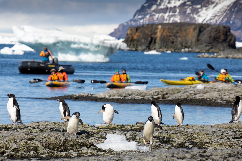 Pinguini in Antarctica