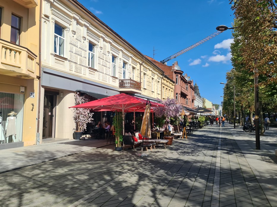 Strada pietonala Kaunas