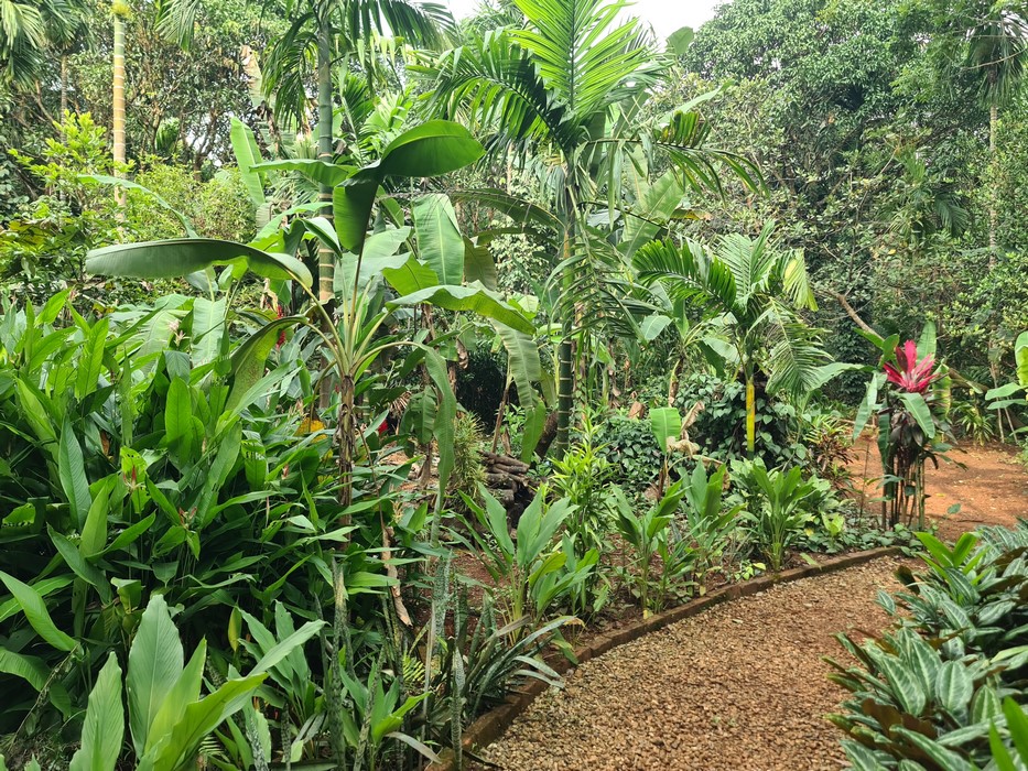 Nandanvan Spice Farm