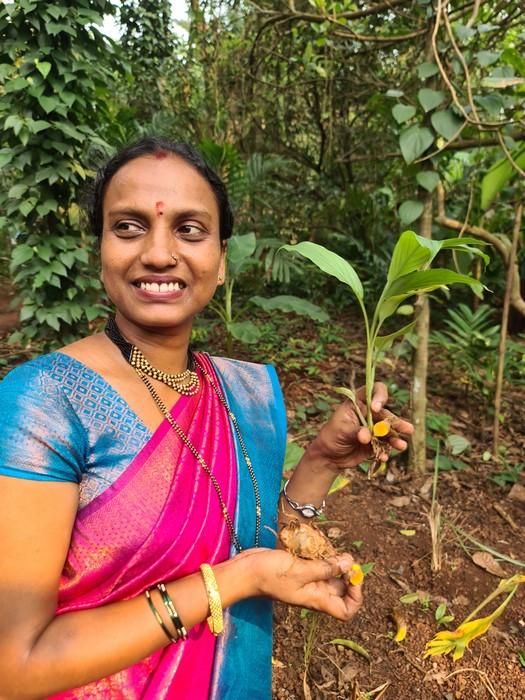 Ghid Nandanvan Spice Farm