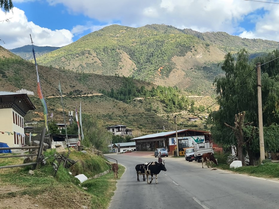 Paro Thimphu