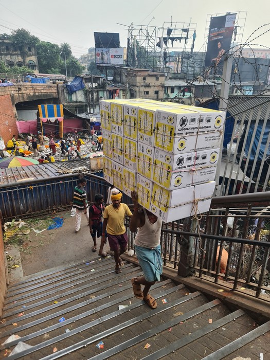 Transport marfuri Kolkata